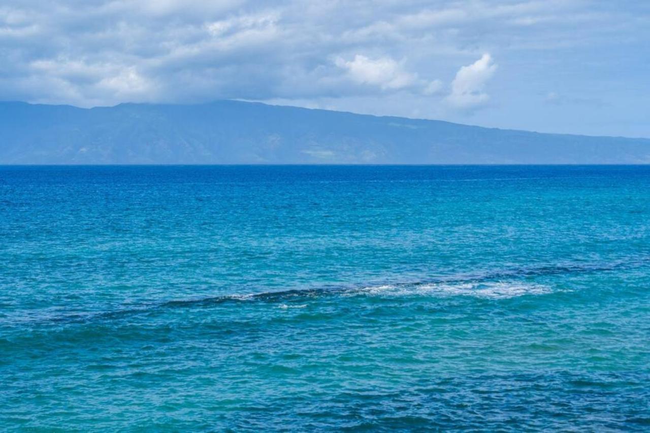 Direct Oceanfront Views Modern Penthouse In Paradise Kahana المظهر الخارجي الصورة